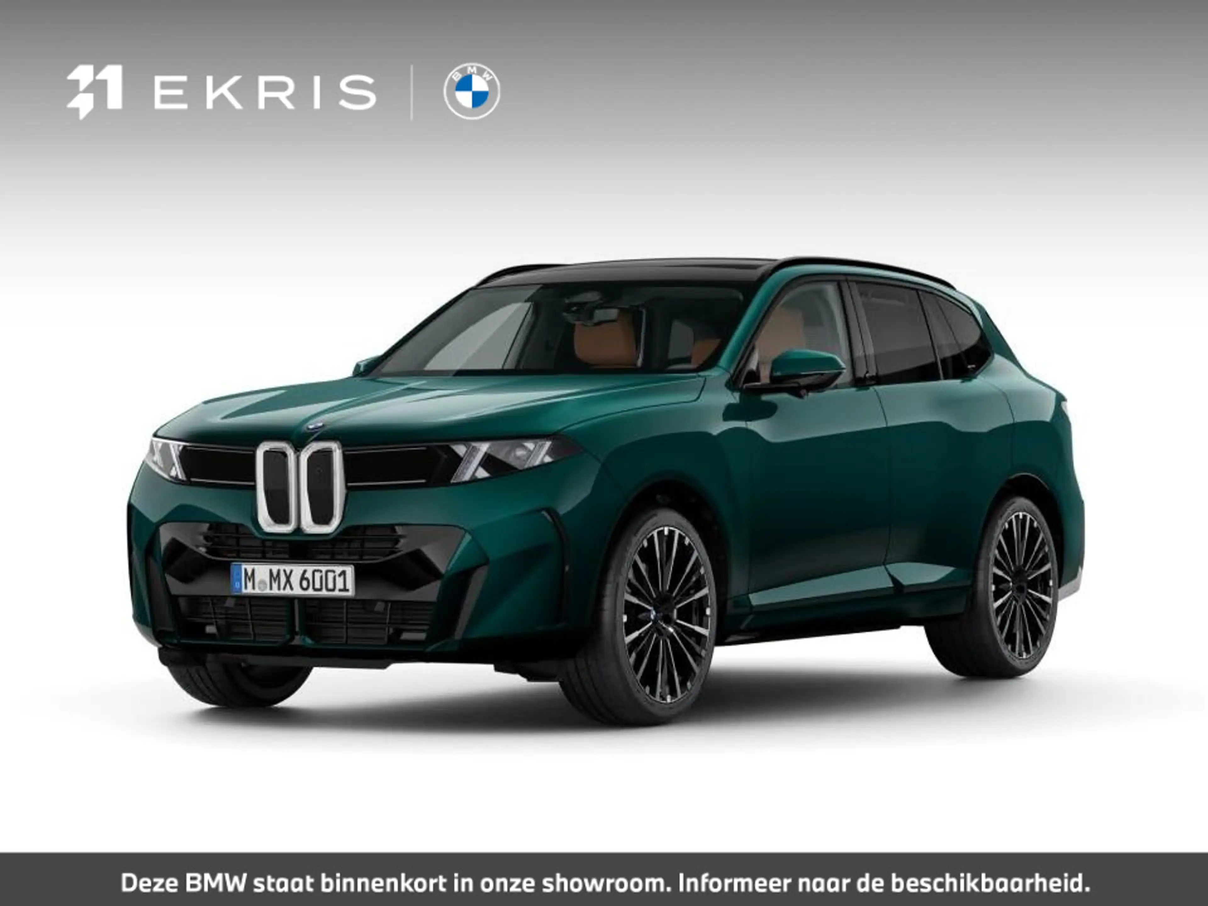 BMW X5 40 xDrive | M Sportpakket | Comfort package | Trek