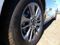 Ford Focus Turnier 1.0 EcoB. mHEV Aut. Titanium X GJR Silber - thumbnail 8