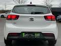 Kia Rio 1.0 T-GDI Vision *Rückfahrkamera*Navi* Weiß - thumbnail 7