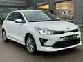 Kia Rio 1.0 T-GDI Vision *Rückfahrkamera*Navi* Weiß - thumbnail 3