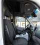 Mercedes-Benz Sprinter 519 CDI RTW Automatik Klima R-Cam Tempo Weiß - thumbnail 6