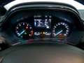 Ford Fiesta 1.0 ECOBOOST MHEV 92KW ACTIVE 125 5P Gris - thumbnail 20