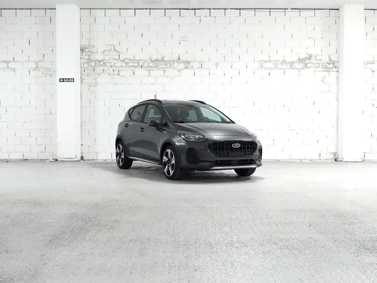 Ford Fiesta 1.0 ECOBOOST MHEV 92KW ACTIVE 125 5P Gris - 2