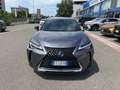 Lexus UX 250h Hybrid Premium IVA ESPOSTA COMPRESA - thumbnail 2