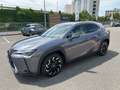 Lexus UX 250h Hybrid Premium IVA ESPOSTA COMPRESA - thumbnail 1