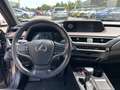 Lexus UX 250h Hybrid Premium IVA ESPOSTA COMPRESA - thumbnail 12