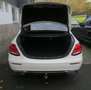 Mercedes-Benz E 220 E 220 d Limousine // Pano, AHK, Virtl. Weiß - thumbnail 11