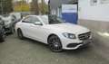 Mercedes-Benz E 220 E 220 d Limousine // Pano, AHK, Virtl. Weiß - thumbnail 1