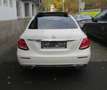 Mercedes-Benz E 220 E 220 d Limousine // Pano, AHK, Virtl. Weiß - thumbnail 8