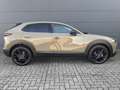 Mazda CX-30 2.5l (140PS) Homura Kamera Navi 2025 NEU Vert - thumbnail 5