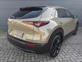 Mazda CX-30 2.5l (140PS) Homura Kamera Navi 2025 NEU Vert - thumbnail 6