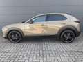 Mazda CX-30 2.5l (140PS) Homura Kamera Navi 2025 NEU Vert - thumbnail 4