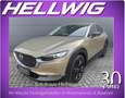 Mazda CX-30 2.5l (140PS) Homura Kamera Navi 2025 NEU Vert - thumbnail 1