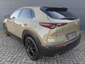 Mazda CX-30 2.5l (140PS) Homura Kamera Navi 2025 NEU Vert - thumbnail 7