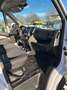 Fiat Ducato 35 MH1 2.0 Mjet 16V 115CV ALU Dop.Cab. Bianco - thumbnail 7