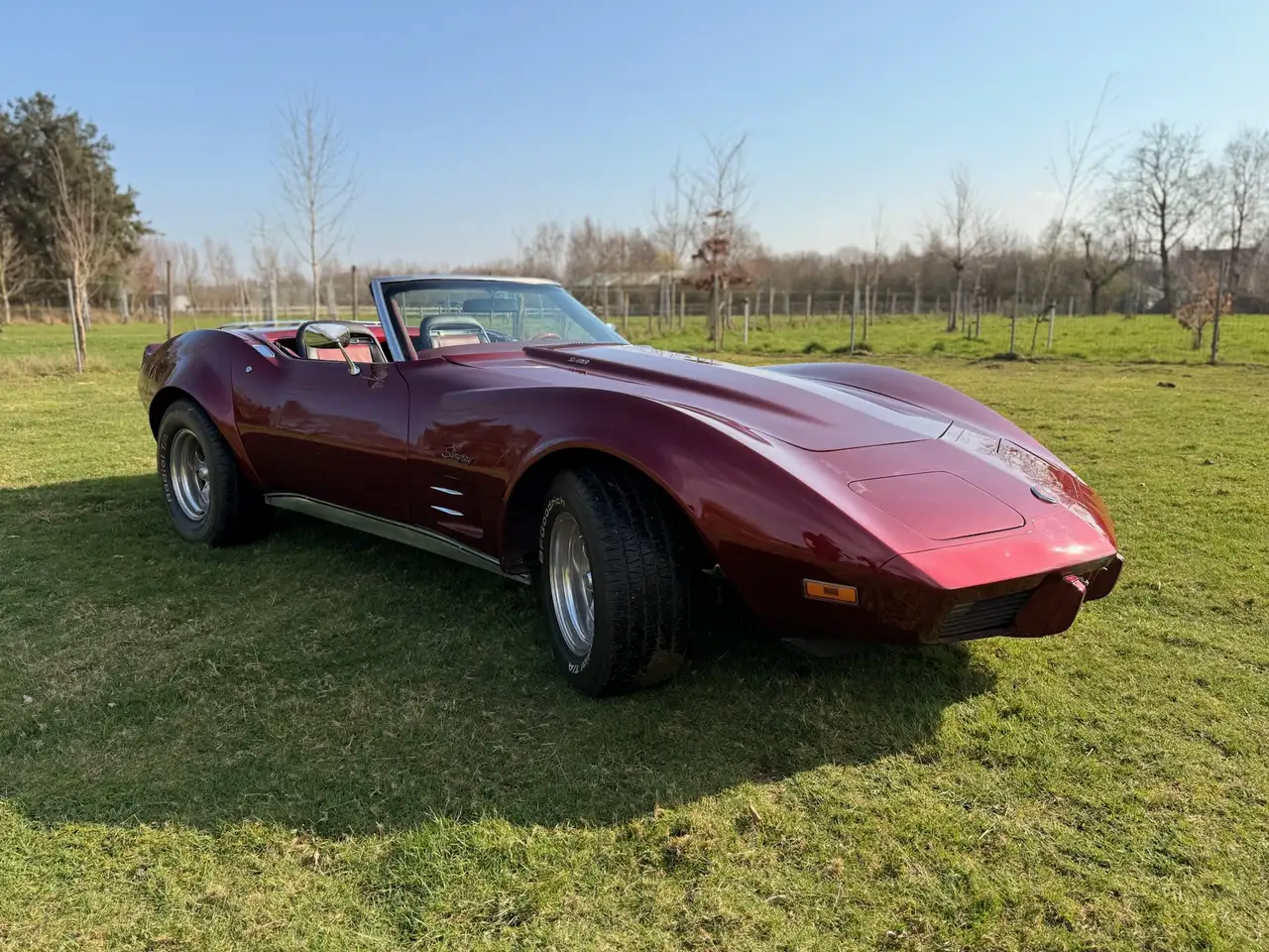 Corvette C3 Stingray in uitstekende staat, foto 3