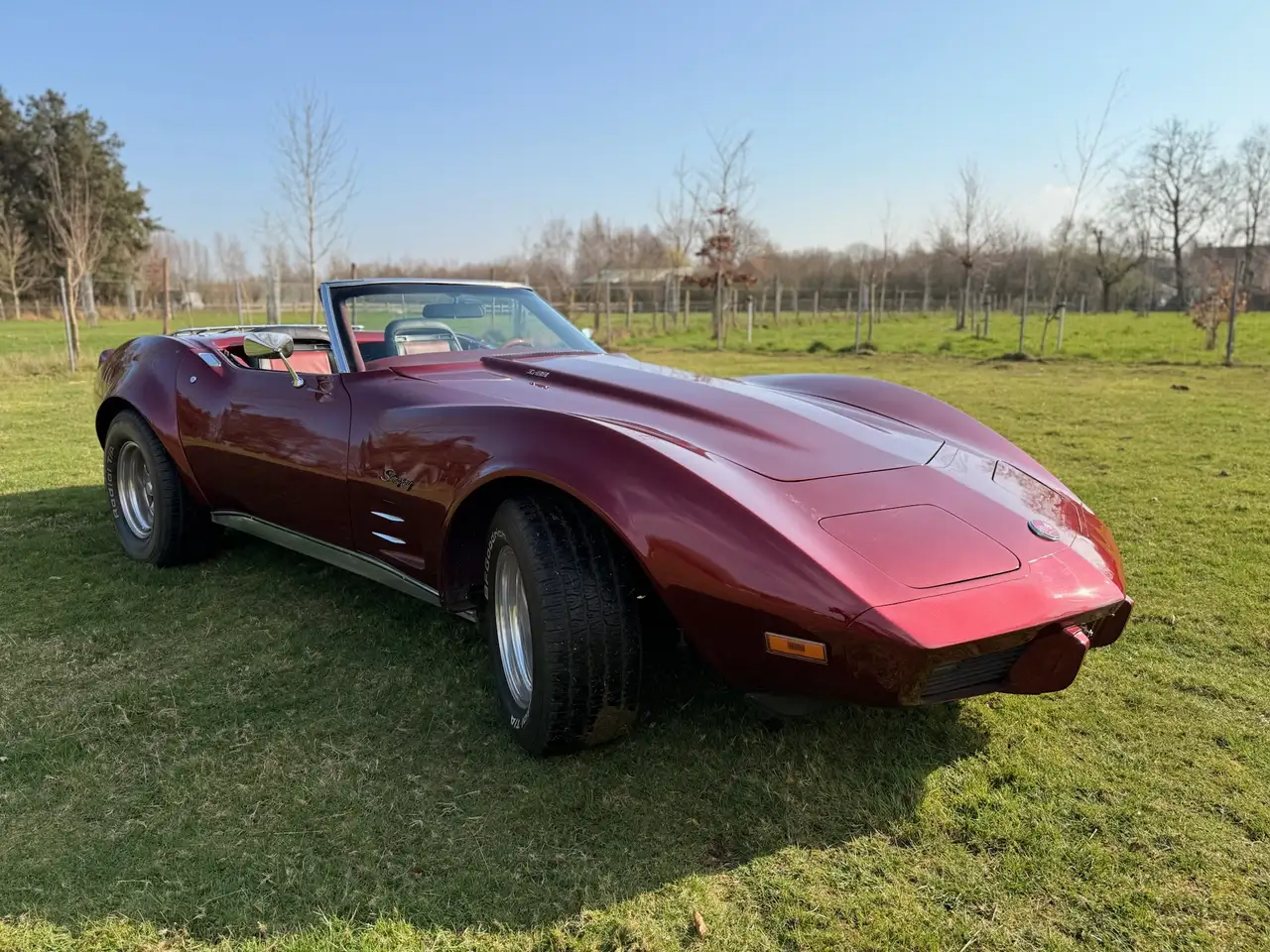 Corvette C3 Stingray in uitstekende staat, foto 1