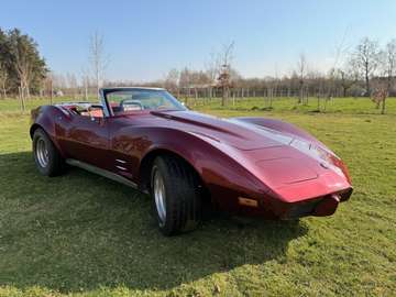 Stingray in uitstekende staat