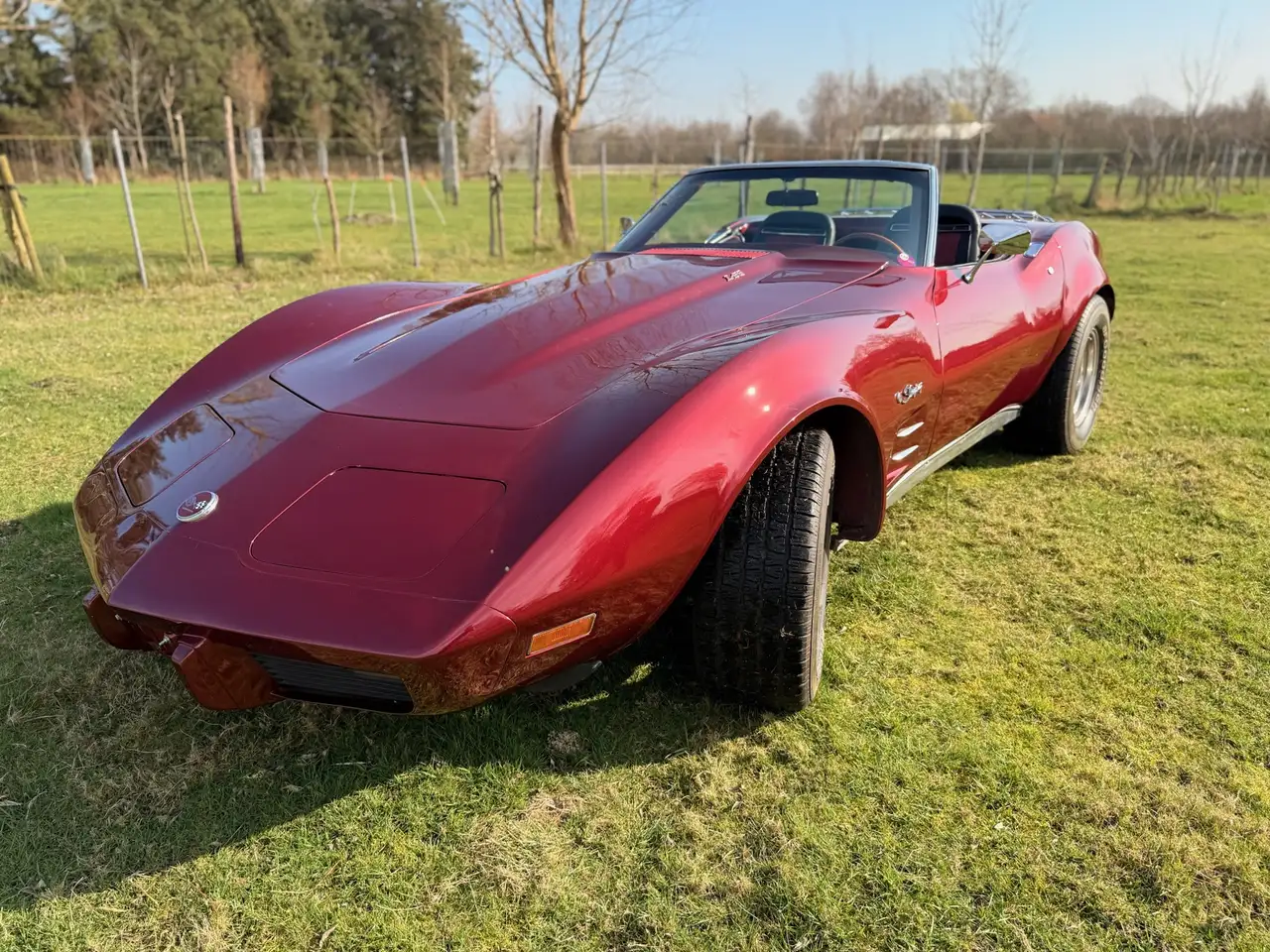 Corvette C3 Stingray in uitstekende staat, foto 8