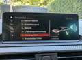 BMW M2 M2 DKG|Navi|CarPlay|H&K|LED|LCI|PerformanceAGA - thumbnail 16
