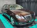 Mercedes-Benz E 500 4Matic/PDC/LEDER/ALCANTARA HIMMEL Brun - thumbnail 7