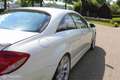 Mercedes-Benz CL 500 Blanco - thumbnail 29