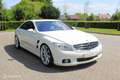 Mercedes-Benz CL 500 Blanco - thumbnail 22