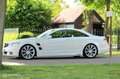 Mercedes-Benz CL 500 Blanco - thumbnail 8