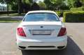 Mercedes-Benz CL 500 Blanco - thumbnail 16