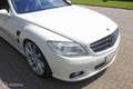 Mercedes-Benz CL 500 Blanco - thumbnail 23