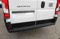 Fiat Ducato Maxi L4H3 180 Kamera Schwingsitz Tempoma... Weiß - thumbnail 17