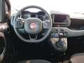 Fiat Panda Panda 1.0 FireFly S&S Hybrid City Cross Grau - thumbnail 11
