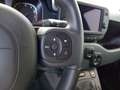 Fiat Panda Panda 1.0 FireFly S&S Hybrid City Cross Grau - thumbnail 16