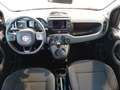 Fiat Panda Panda 1.0 FireFly S&S Hybrid City Cross Grau - thumbnail 10