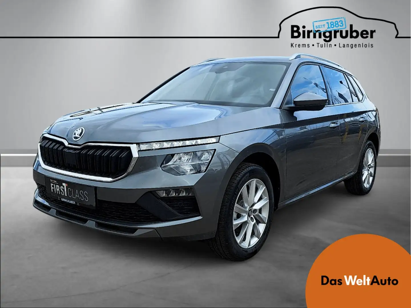 Skoda Kamiq Selection TSI Grau - 1