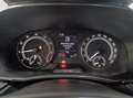 Skoda Fabia 1.0 tsi evo style 95cv Blanc - thumbnail 19