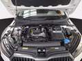 Skoda Fabia 1.0 tsi evo style 95cv Blanc - thumbnail 10
