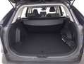 Toyota RAV 4 Hybrid Business 2.5 Full Hybrid 218CV Blu/Azzurro - thumbnail 14