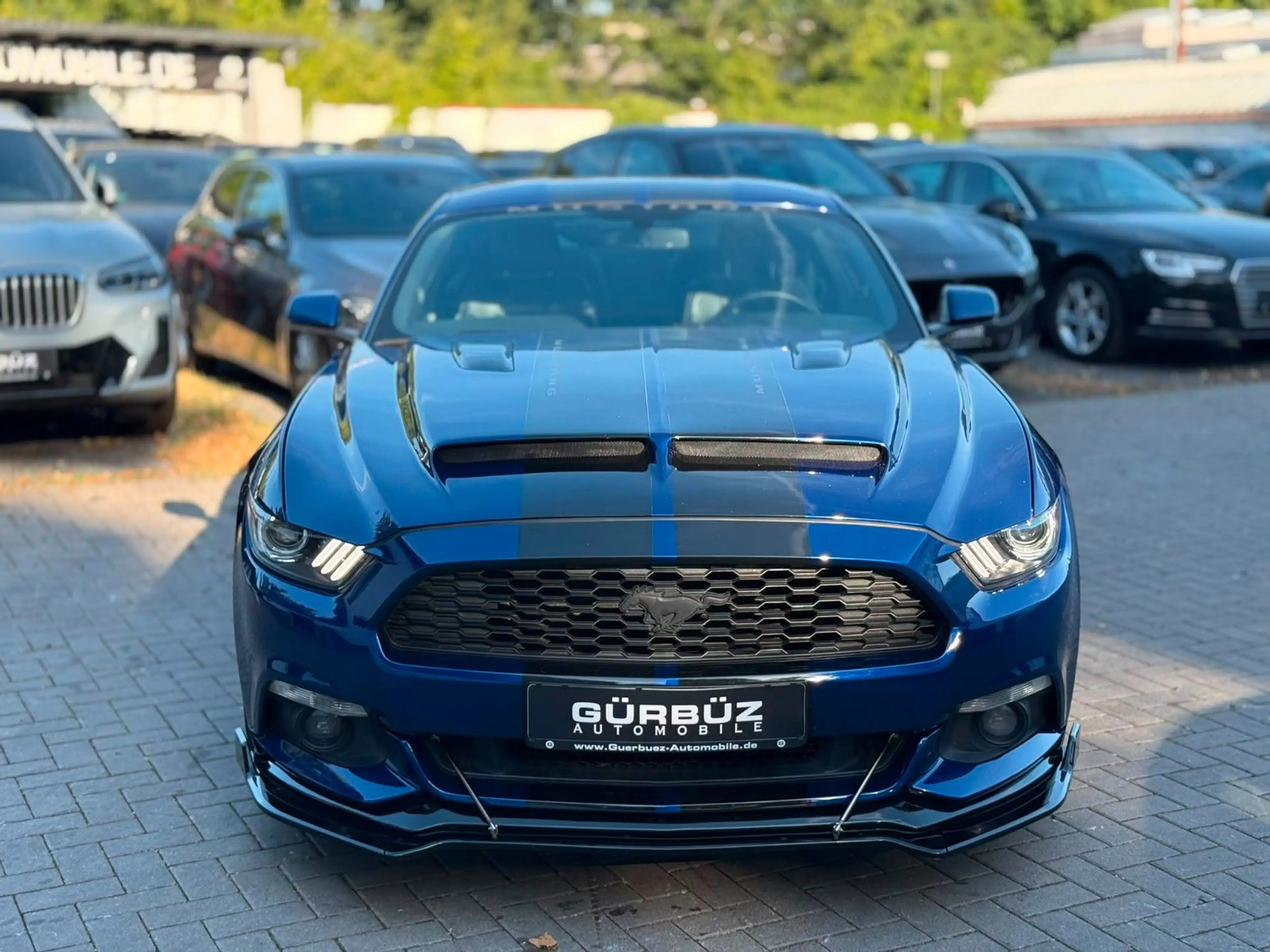 Ford Mustang GT Fastback 5,0L — photo 2