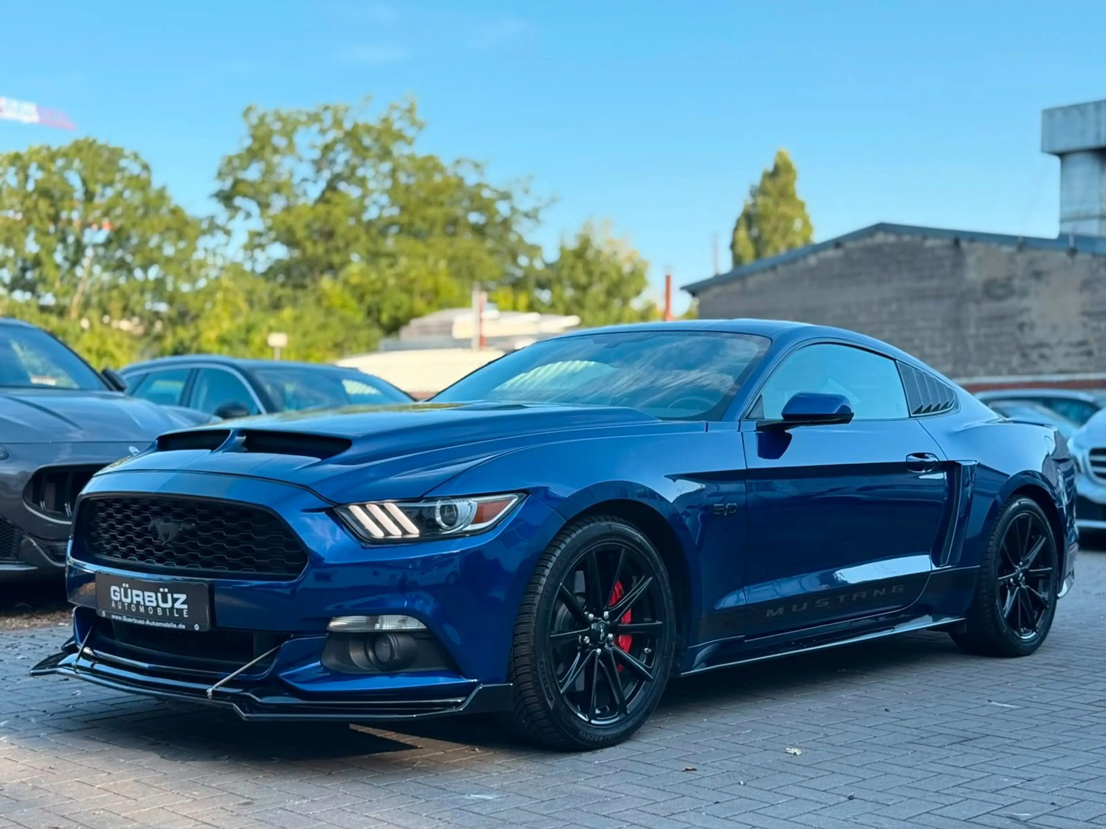 Ford Mustang GT Fastback 5,0L — photo 12