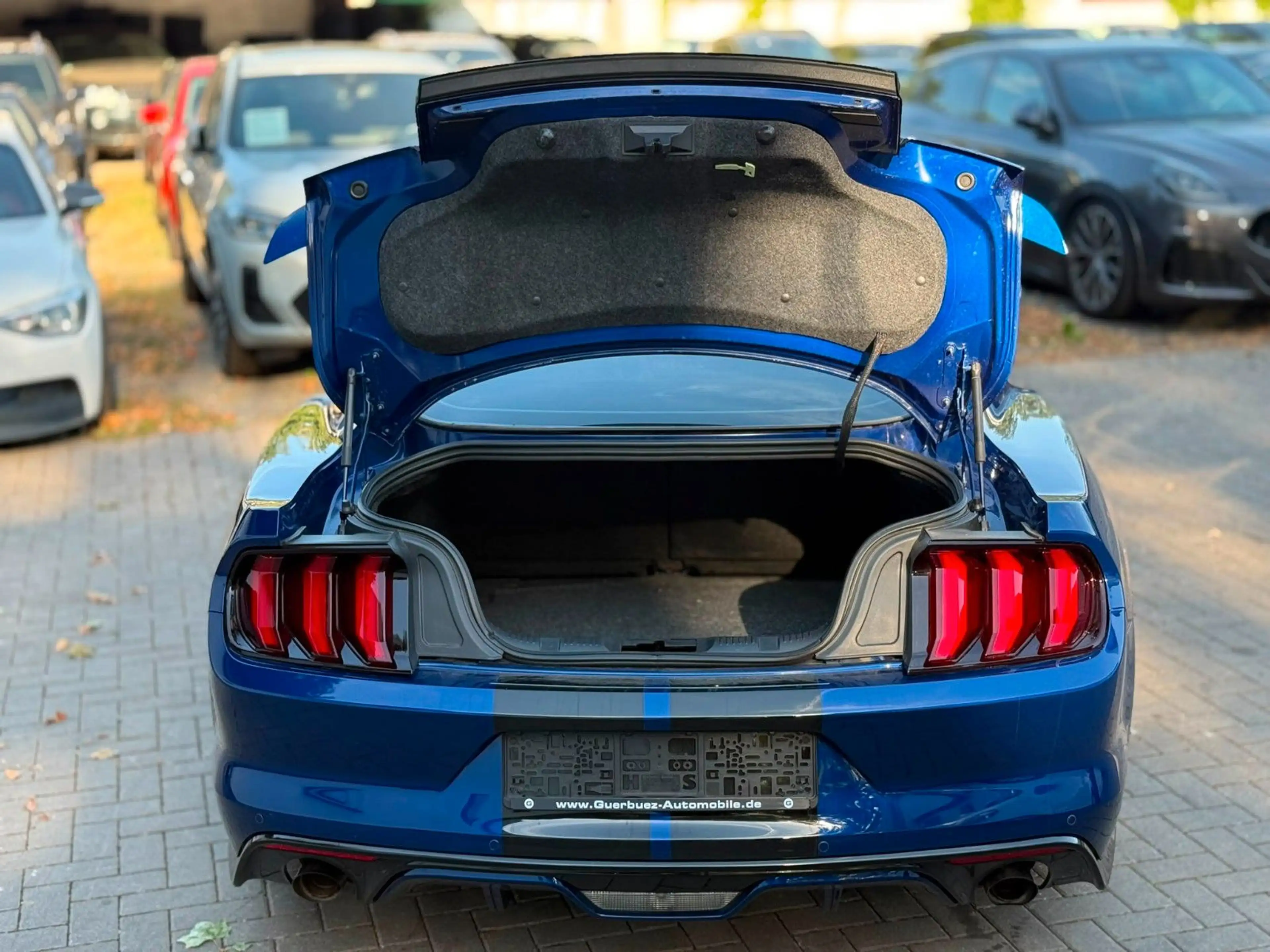 Ford Mustang GT Fastback 5,0L — photo 14