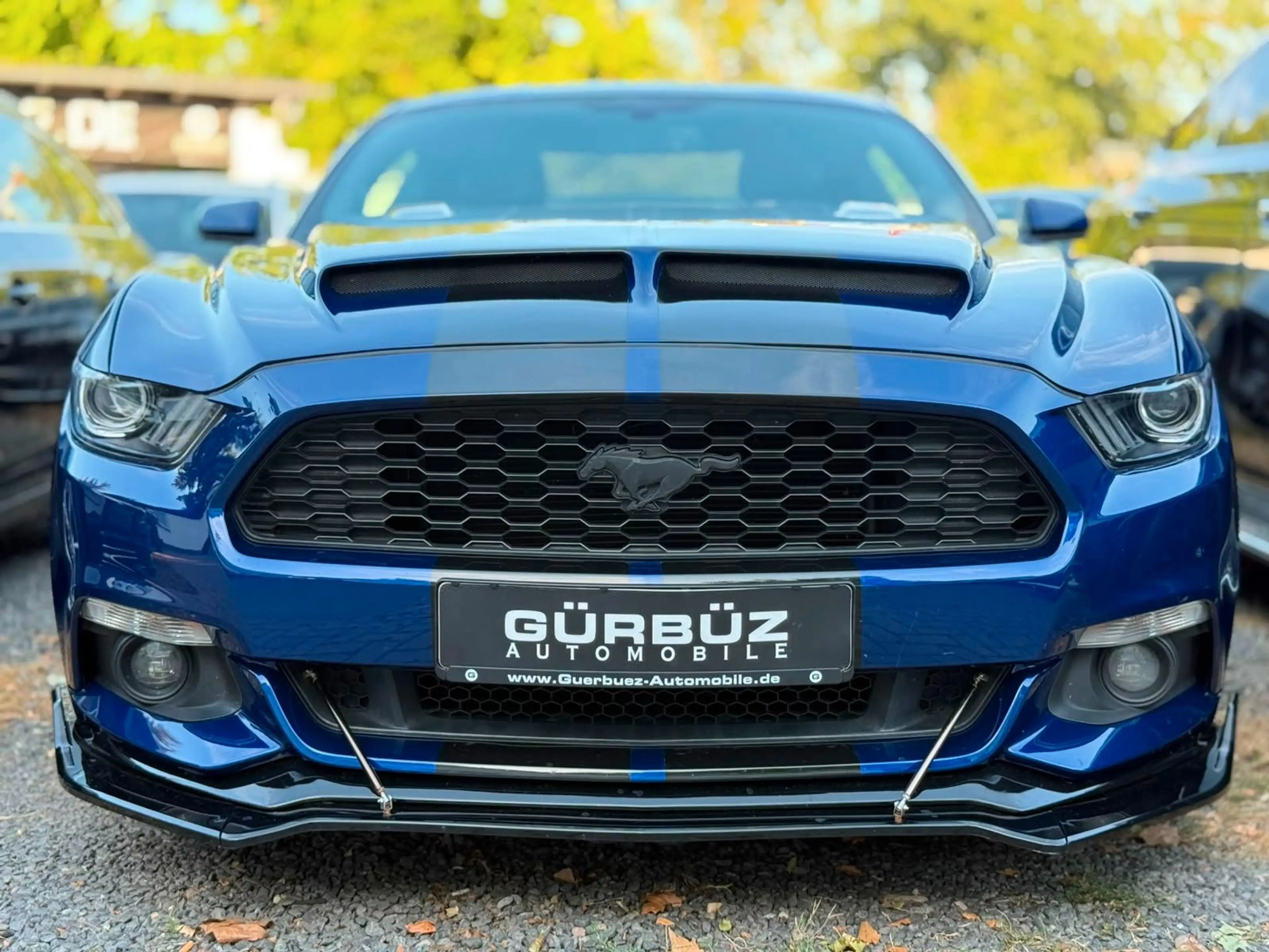 Ford Mustang GT Fastback 5,0L — photo 3