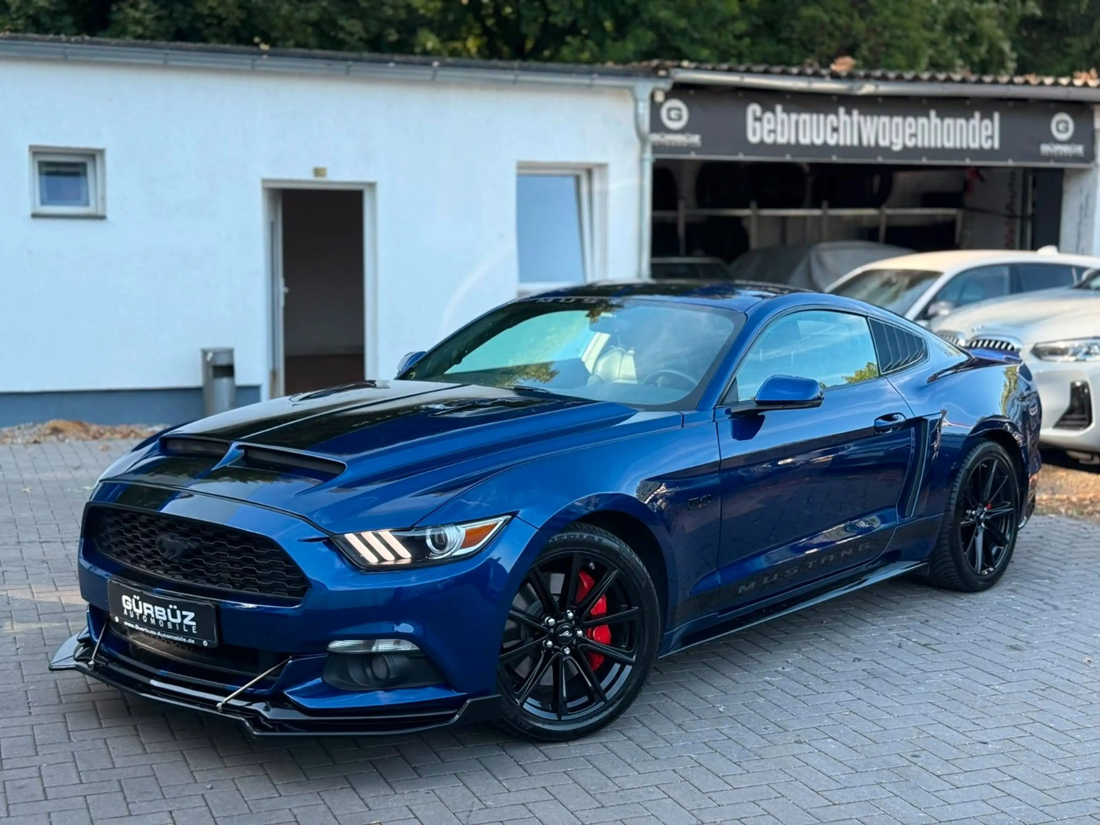 Ford Mustang GT Fastback 5,0L — photo 4