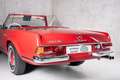 Mercedes-Benz 250 250SL Pagode Rot - thumbnail 24