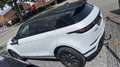 Land Rover Range Rover Evoque 2.0 TD4 MHEV 4WD HSE Blanc - thumbnail 4
