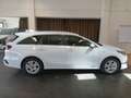 Kia Ceed SW / cee'd SW Vision *AKTIONSPREIS* Weiß - thumbnail 4