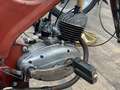 HMW 50 50 Type Rot - thumbnail 5