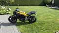 Yamaha MT-07 speciale editie - thumbnail 2