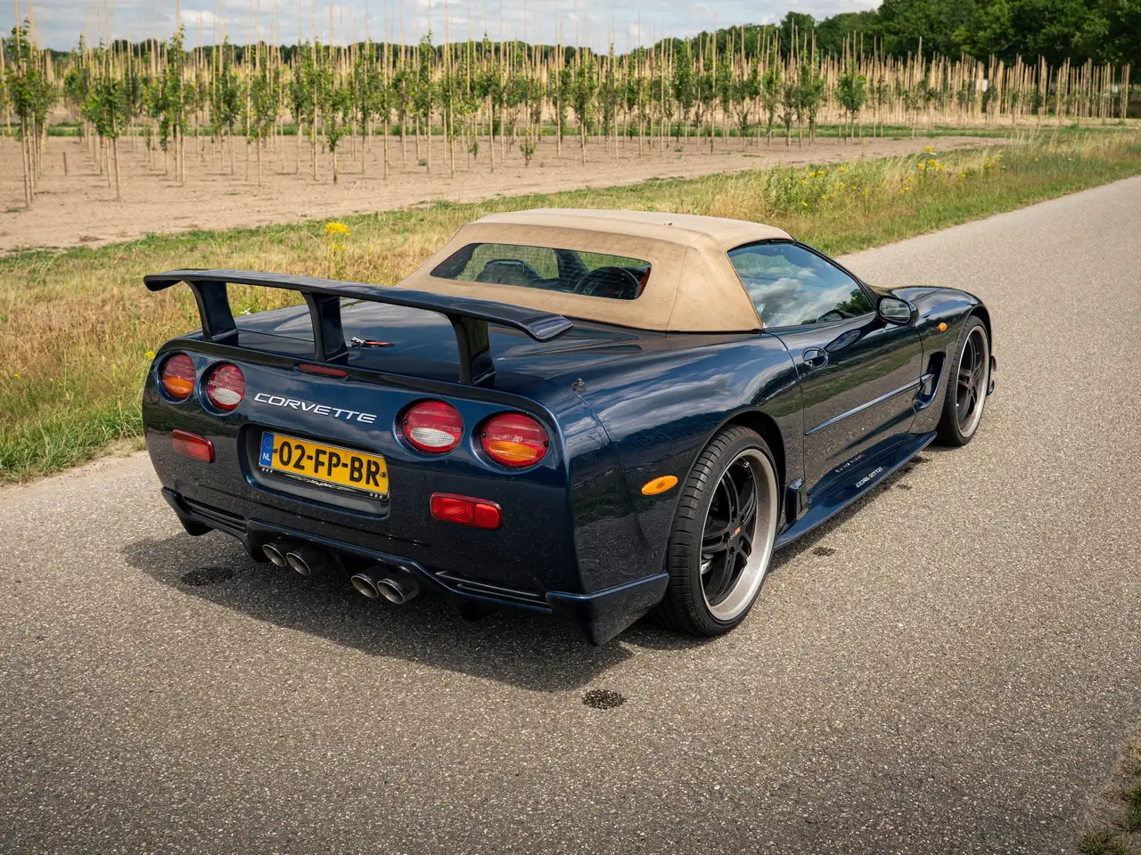 Corvette C5 5.7 Convertible, foto 8