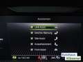 Skoda Scala Selection 1.0 TSI 85 KW DSG LED RKAM NAV LM Grau - thumbnail 16